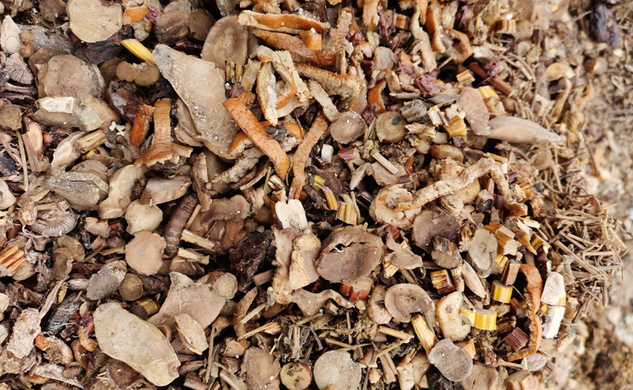 中藥渣脫水機：中藥產(chǎn)業(yè)的得力助手，選型要點全解析